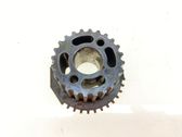 Crankshaft gear