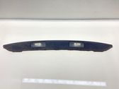 Trunk door license plate light bar