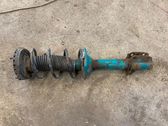 Rear shock absorber with coil spring