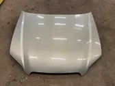 Engine bonnet/hood