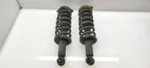 Rear shock absorber with coil spring