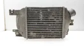 Intercooler radiator