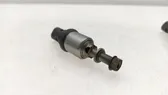 LP gas injector