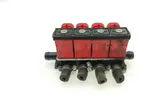 LP gas injector