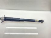 Stoßdämpfer hinten