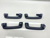 A set of handles for the ceiling