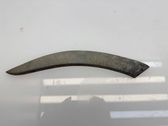 Listón embellecedor de la puerta delantera (moldura)