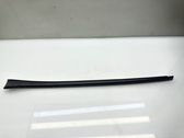 Windshield trim