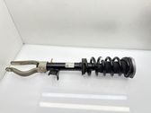 Front shock absorber with coil spring