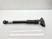 Rear shock absorber/damper