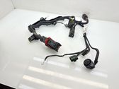 Gearbox/transmission wiring loom