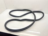 Rear door rubber seal (on body)