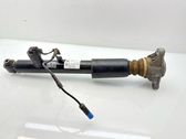 Rear shock absorber/damper