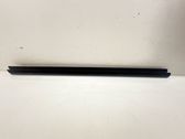 Front door glass trim molding