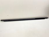 Front door glass trim molding