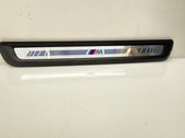 Front sill trim cover