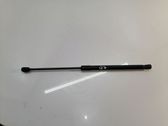 Tailgate/trunk strut/damper