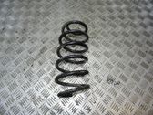 Rear coil spring