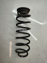 Rear coil spring