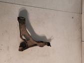 Front lower control arm/wishbone