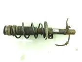 Front shock absorber with coil spring