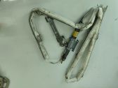 Roof airbag