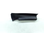 Rear/tail light trim molding