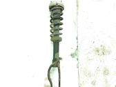 Front shock absorber/damper