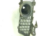 Front fog light trim/grill