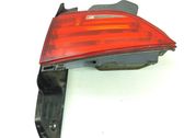 Tailgate rear/tail lights