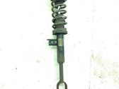 Front shock absorber/damper