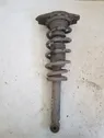 Rear shock absorber with coil spring