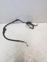 Negative earth cable (battery)