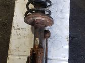 Front shock absorber with coil spring