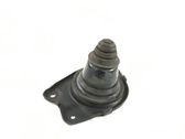 Rear coil spring rubber mount