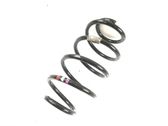 Front coil spring