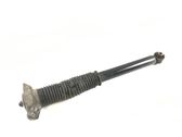 Stoßdämpfer hinten