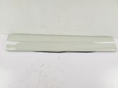 Front door trim (molding)