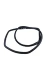 Rear door rubber seal (on body)