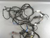 Other wiring loom