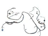 Other wiring loom