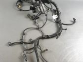 Engine installation wiring loom