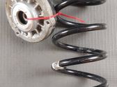 Front coil spring