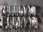 Rear coil spring