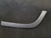 Fender trim (molding)