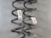 Rear coil spring