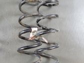 Rear coil spring
