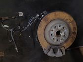Rear wheel hub