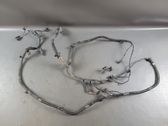 Cableado del sensor de aparcamiento (PDC)