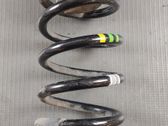 Rear coil spring